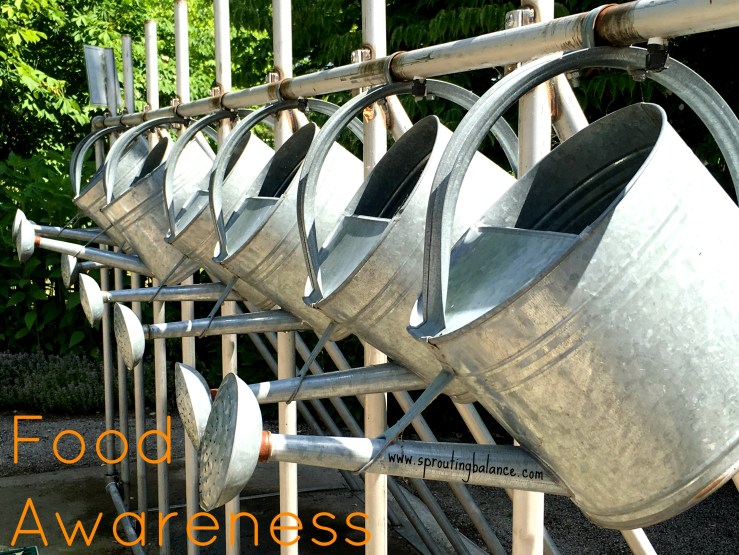 Food Awareness - www.sproutingbalance.com - #children #food #gardening