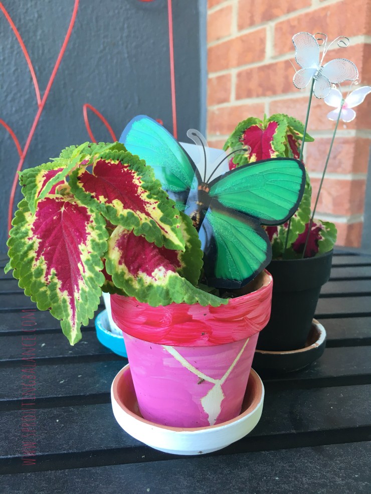 7th Birthday - Butterfly Garden - DIY Flower Pots | www.sproutingbalance.com | #butterfly #garden #birthday #DIY #flower #pot #craft