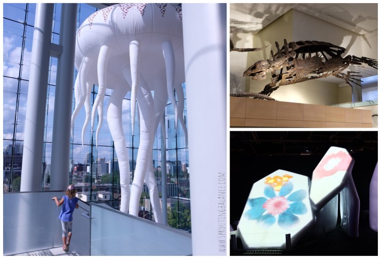 Every Summer has a Story: 2018 Ottawa - Museum of Nature | www.sproutingbalance.com | #Ottawa #Museum #Nature #trip