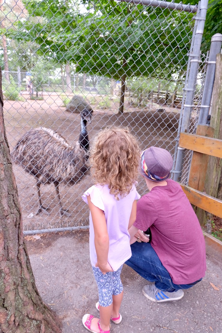 Every Summer has a Story: 2018 Ottawa - Riverview Park and Zoo | www.sproutingbalance.com | #Peterborough #zoo #summer #trip