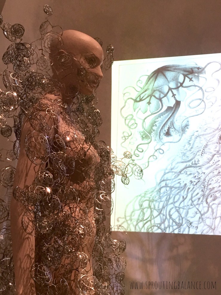 Every Summer has a Story: 2018 edition | www.sproutingbalance.com | #Toronto #ROM #summer #todo #list #fun