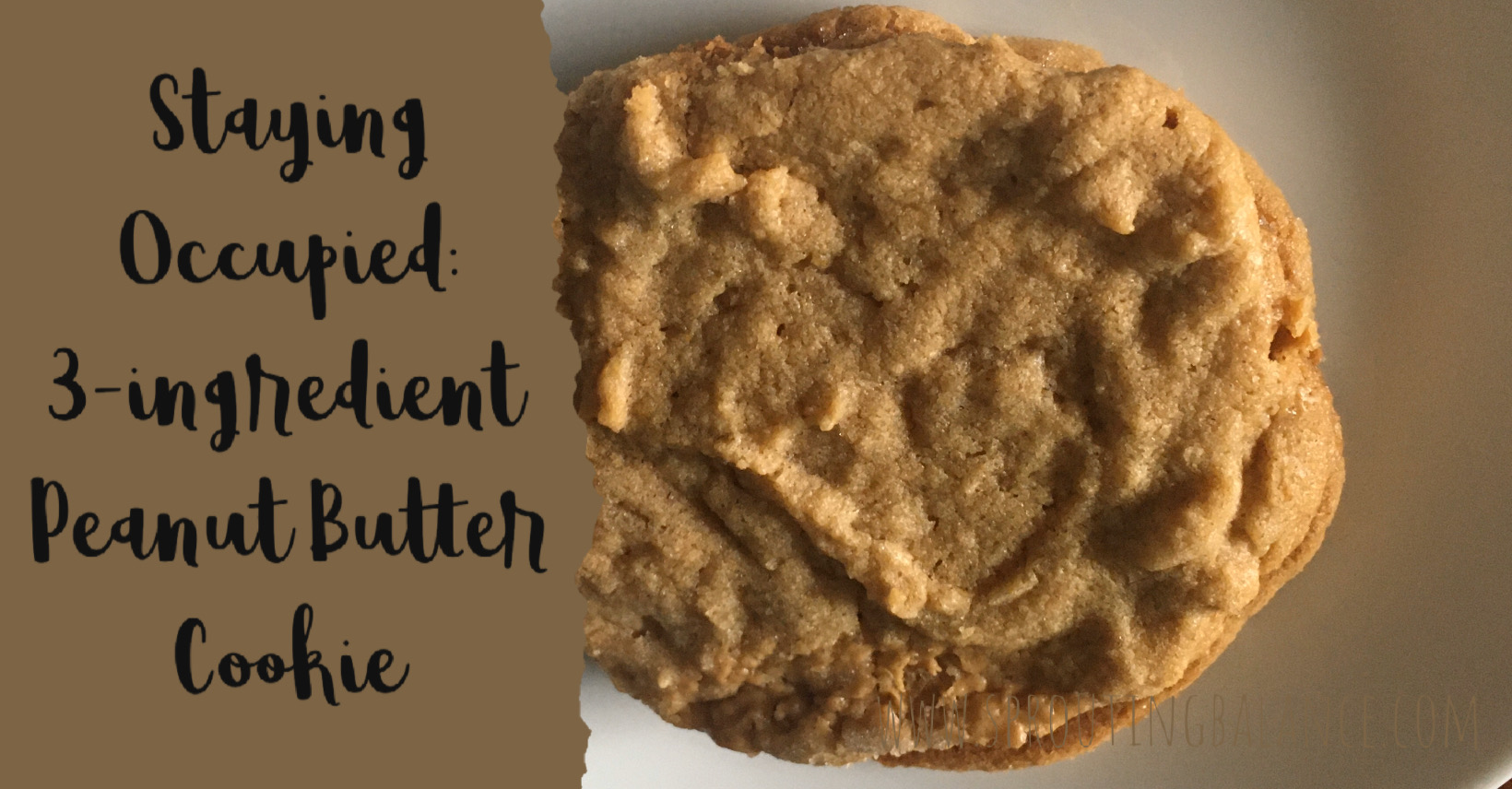 Staying Occupied: 3-ingredient Peanut Butter Cookies | www.sproutingbalance.com | #stayhome #socialdistancing #bepositive