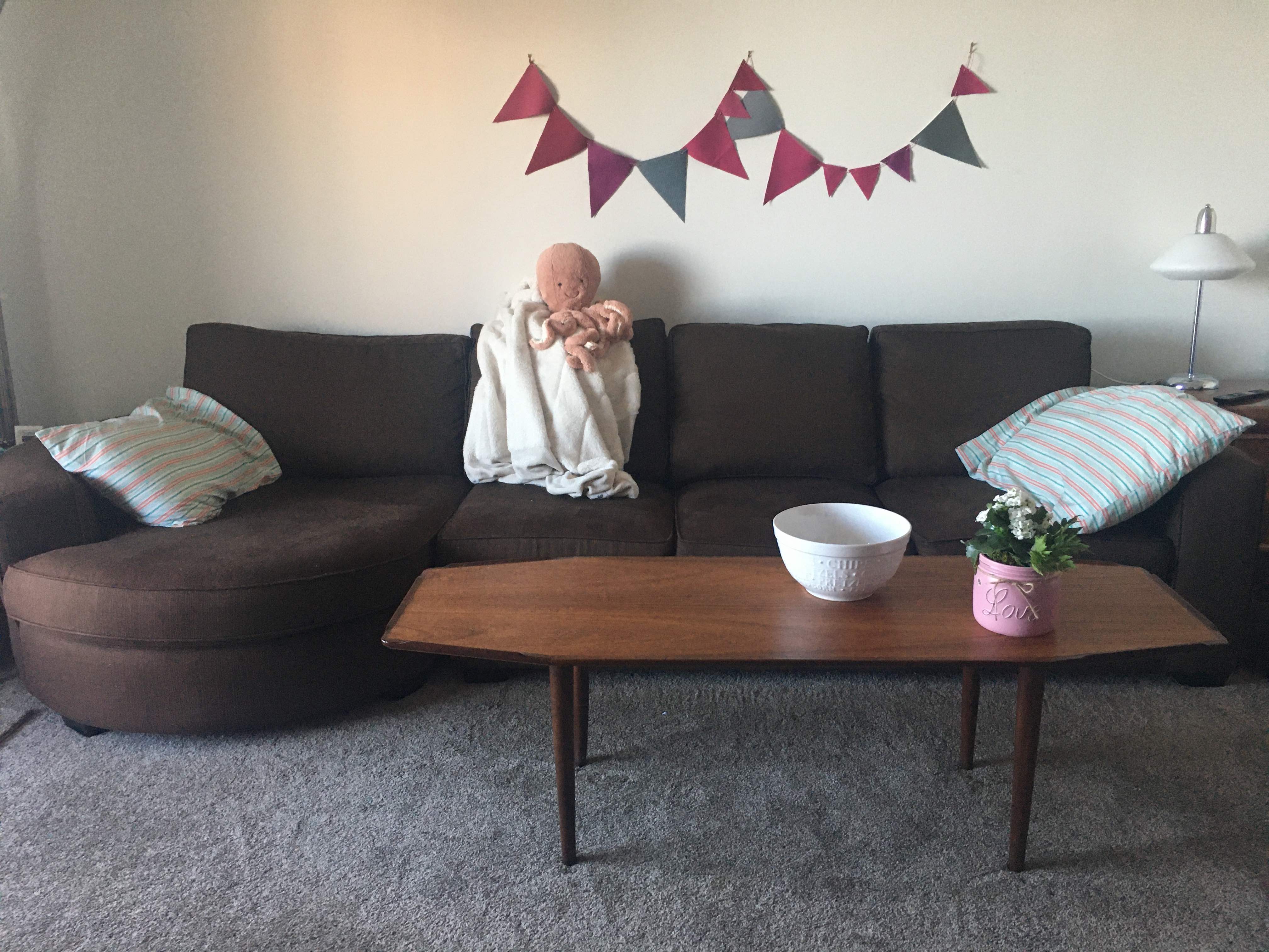 Staying Occupied: Living Room Theatre Actual | www.sproutingbalance.com | #stayhome #socialdistancing #bepositive